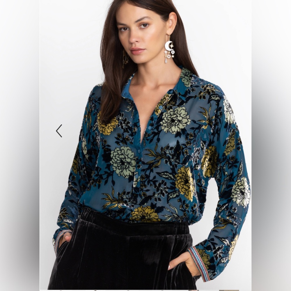 Johnny Was Cadeki Stila Blouse XS Floral Velvet Burnout Silk Blend OldMoney NOTE